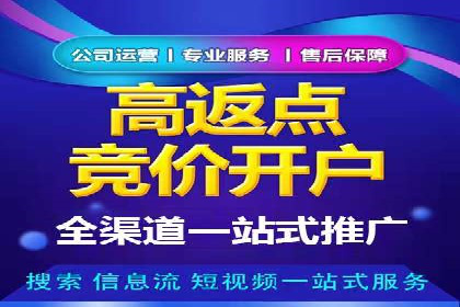 竞价托管服务案例解析